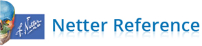 Netter Reference