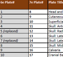 Netter 7e Conversion Spreadsheet