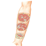Forearm: Serial Cross Sections, Anterior View
