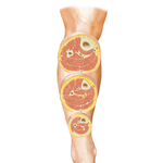 Leg: Serial Cross Sections