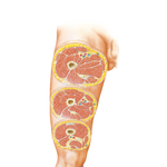 Thigh: Serial Cross Sections