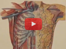 Veins of Trunk with Brion Benninger