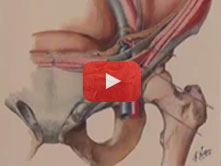Inguinal Region with John T. Hansen
