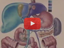 Portal System with Todd M. Hoagland