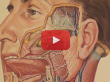 Salivary Glands with John T. Hansen