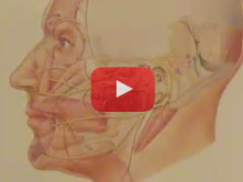 Cranial Nerve VII with Todd M. Hoagland