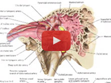 Carlos A. G. Machado, MD at work