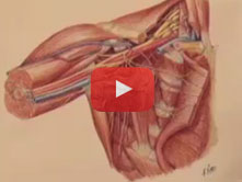 Axilla with R. Shane Tubbs